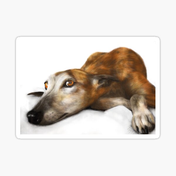 Lazy brindle Greyhound Sticker
