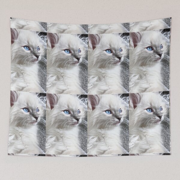 Aperçu de l'œuvre Chaton ragdoll Lynx créée et vendue par Fluffycat2020.