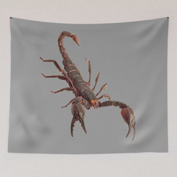 Item preview, Scorpion designed and sold by myuniquepet.