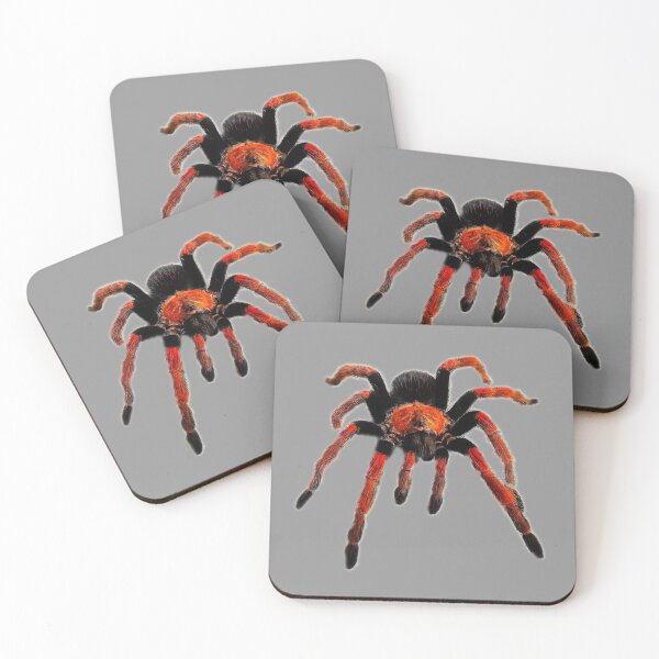 Item preview, Red Tarantula designed and sold by myuniquepet.