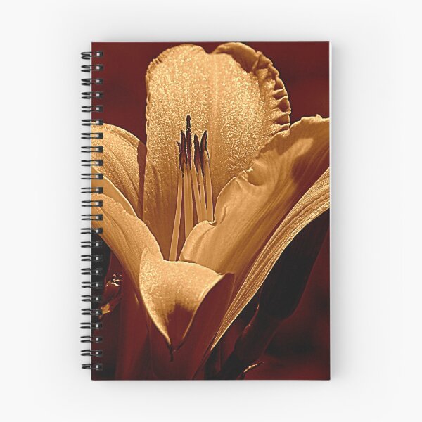 Item preview, Workaday designed and sold by Jean Gregory Evans.