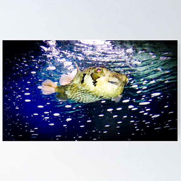 Item preview, Happy Fish  designed and sold by Designs By YL.