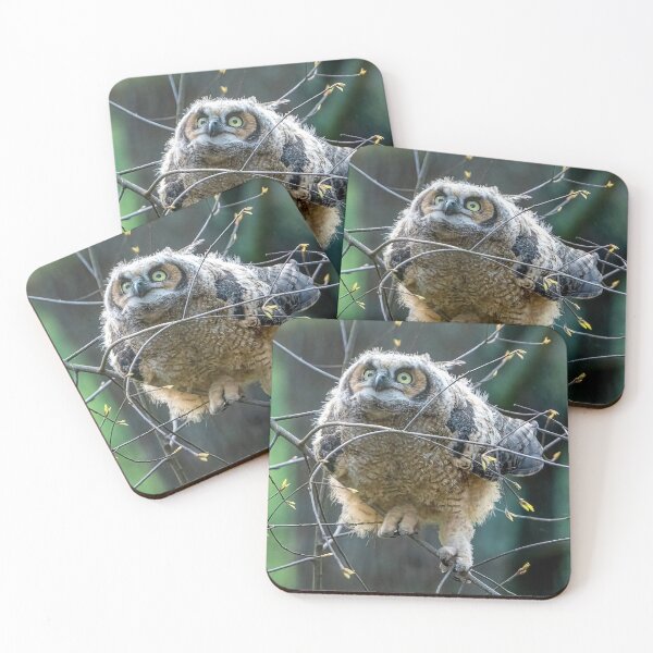 Item preview, Great Horned Owlet designed and sold by Kevin Komiega.