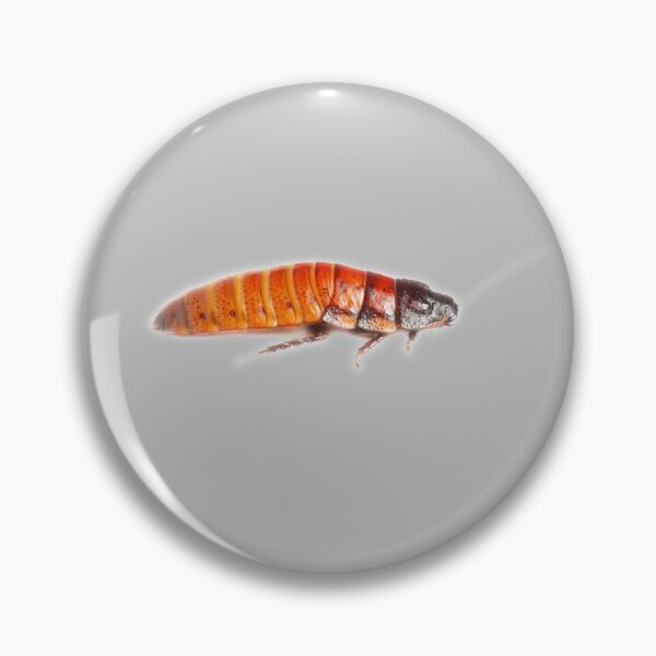 Item preview, Hissing Cockroach designed and sold by myuniquepet.