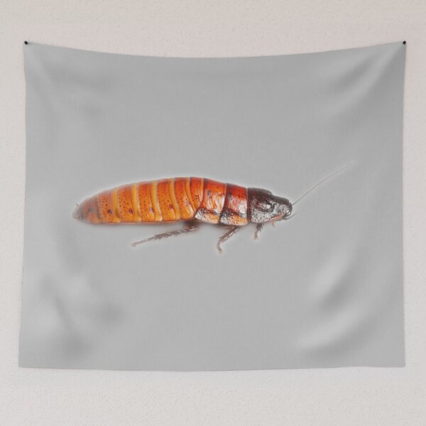 Item preview, Hissing Cockroach designed and sold by myuniquepet.