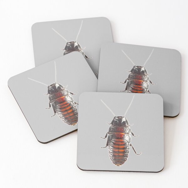 Item preview, Hissing Cockroach designed and sold by myuniquepet.