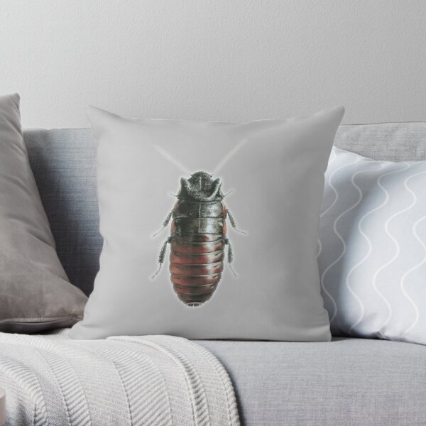 Giant Roach Pillows (4 SIZES) - 22 / 55 cm