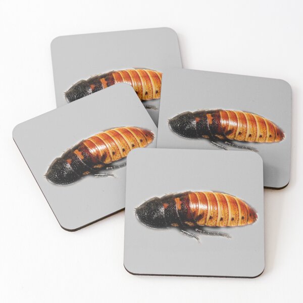 Item preview, Hissing Cockroach designed and sold by myuniquepet.