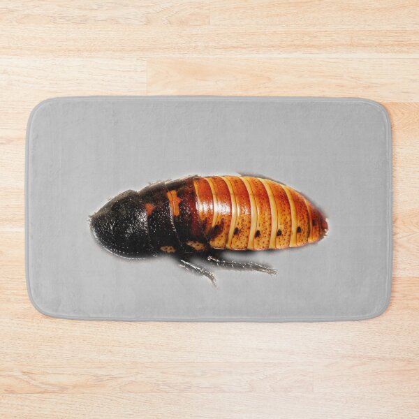 Item preview, Hissing Cockroach designed and sold by myuniquepet.
