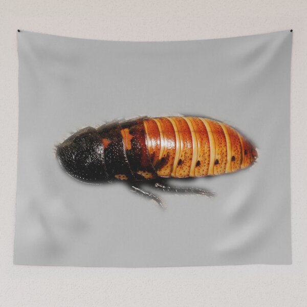 Item preview, Hissing Cockroach designed and sold by myuniquepet.