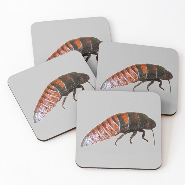 Item preview, Hissing Cockroach designed and sold by myuniquepet.