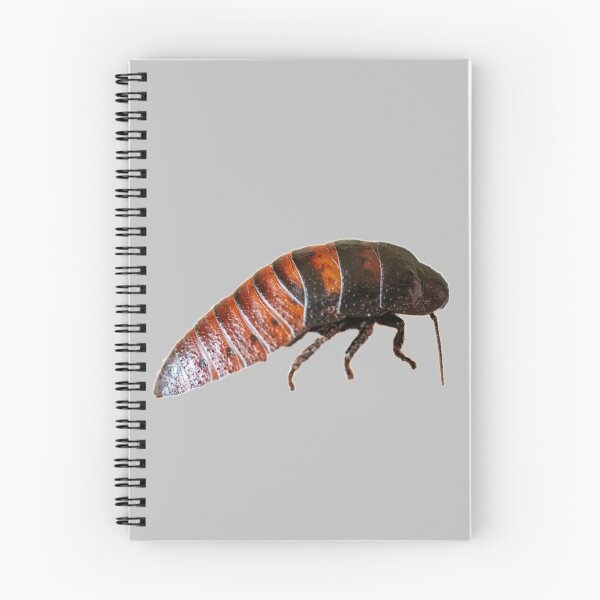 Item preview, Hissing Cockroach designed and sold by myuniquepet.