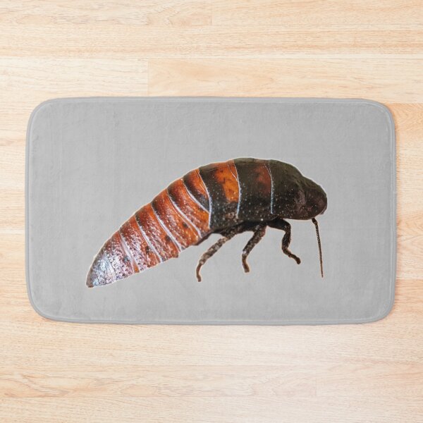 Item preview, Hissing Cockroach designed and sold by myuniquepet.