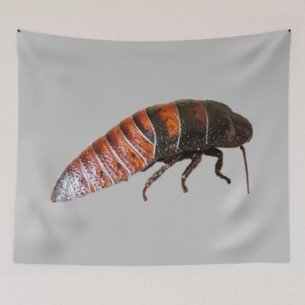 Item preview, Hissing Cockroach designed and sold by myuniquepet.