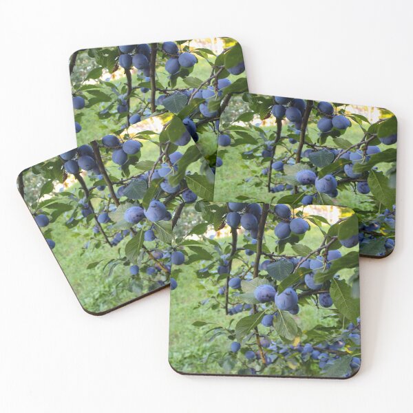 Item preview, Lots of ripe plums on the branches in the plum orchard designed and sold by Mahirov Shop.