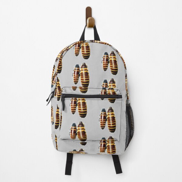 Item preview, Hissing Cockroach Mom & Baby designed and sold by myuniquepet.