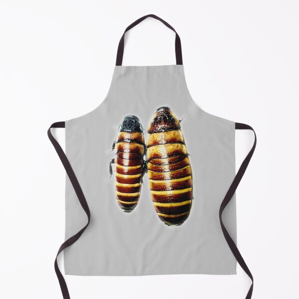 Item preview, Hissing Cockroach Mom & Baby designed and sold by myuniquepet.