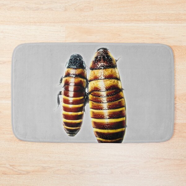 Item preview, Hissing Cockroach Mom & Baby designed and sold by myuniquepet.