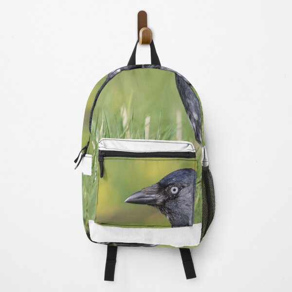 Item preview, Jackdaw designed and sold by LaurenTucker.