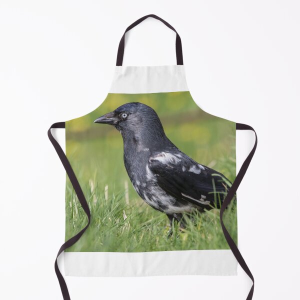Item preview, Jackdaw designed and sold by LaurenTucker.