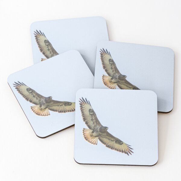 Item preview, Buzzard designed and sold by LaurenTucker.