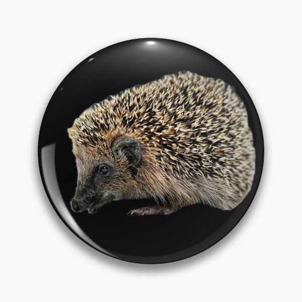 Item preview, Hedgehog designed and sold by myuniquepet.