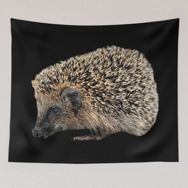 Item preview, Hedgehog designed and sold by myuniquepet.