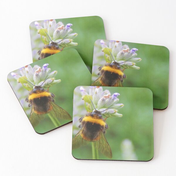 Item preview, Busy Bee's Breakfast3 designed and sold by cjgraphic.