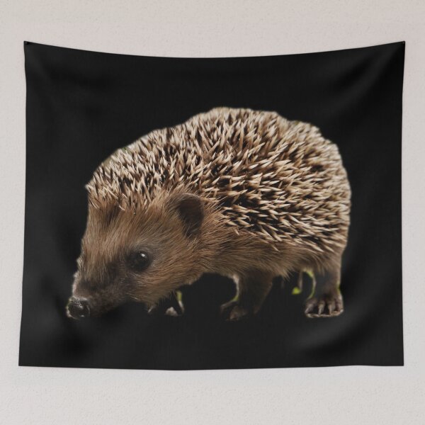 Item preview, Hedgehog designed and sold by myuniquepet.