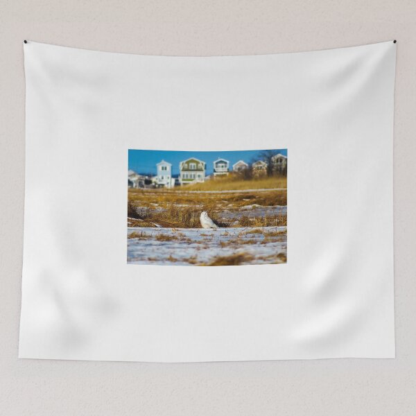 Item preview, Snowy Owl in the Marsh designed and sold by Kevin Komiega.