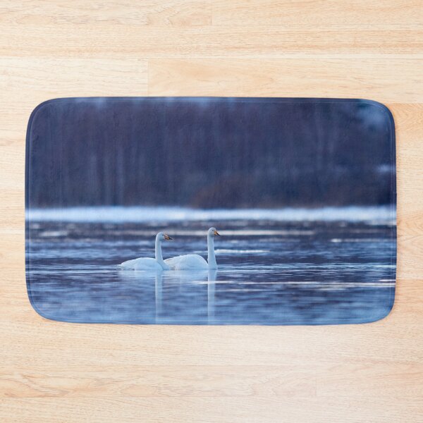 Item preview, Calm evening moment. Whooper swan designed and sold by Jouko Lehto Photography.