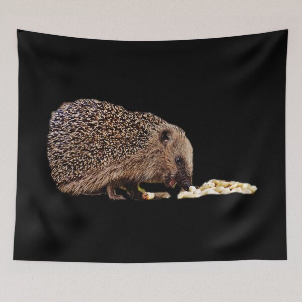 Item preview, Feeding Hedgehog designed and sold by myuniquepet.