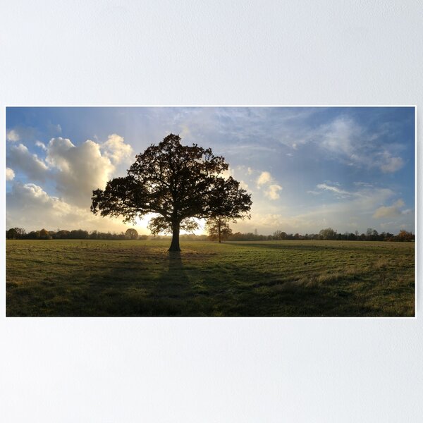 Item preview, Una vista hacia Headcorn designed and sold by HeadcornVillage.