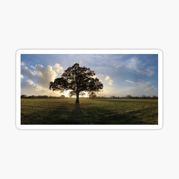 A view towards Headcorn Sticker