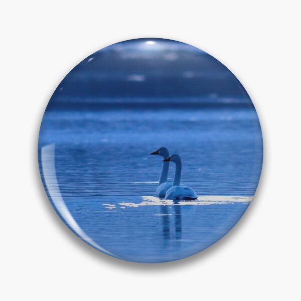 Item preview, Whooper swan Blue moment designed and sold by Jouko Lehto Photography.