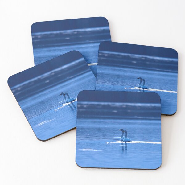 Item preview, Cisne cantor Momento azul designed and sold by Jouko Lehto Photography.