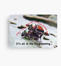 Sexual attraction, it’s all in the Programming… Canvas Print