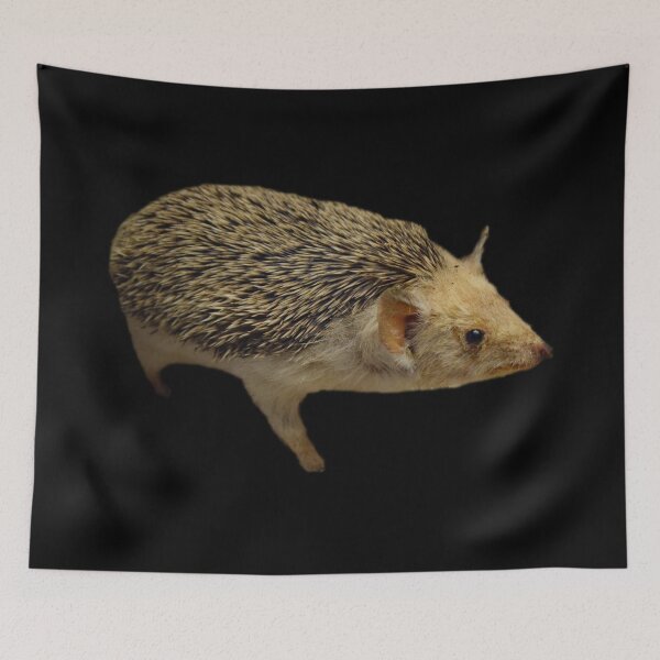 Item preview, Hedgehog designed and sold by myuniquepet.