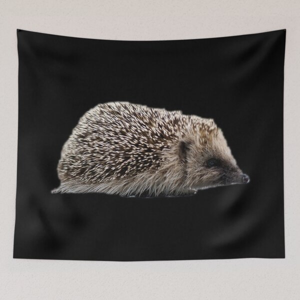 Item preview, Hedgehog designed and sold by myuniquepet.