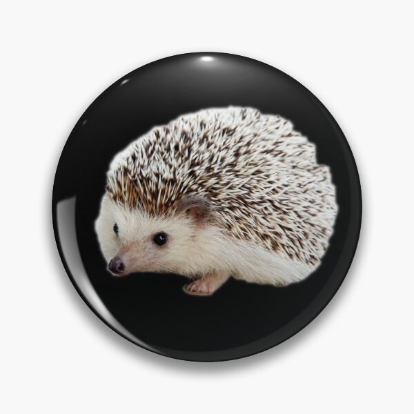 Item preview, Hedgehog designed and sold by myuniquepet.