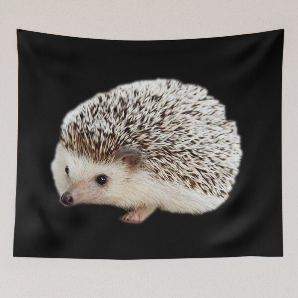 Item preview, Hedgehog designed and sold by myuniquepet.