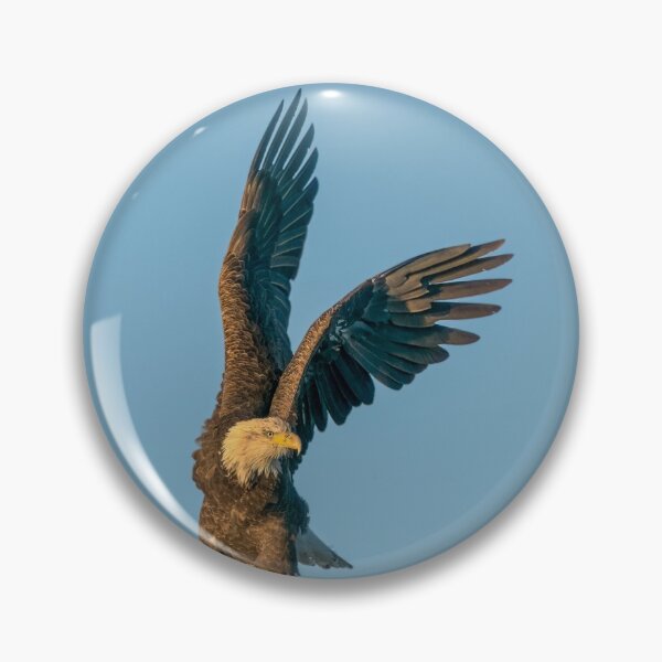Item preview, Adult Bald Eagle designed and sold by Kevin Komiega.
