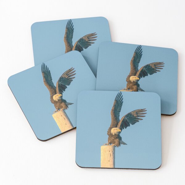 Item preview, Adult Bald Eagle designed and sold by Kevin Komiega.