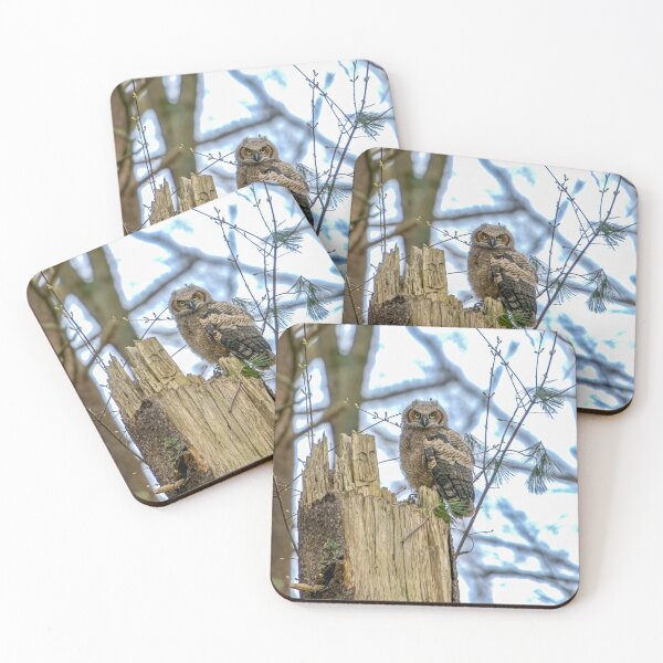 Item preview, Great Horned Owlet designed and sold by Kevin Komiega.