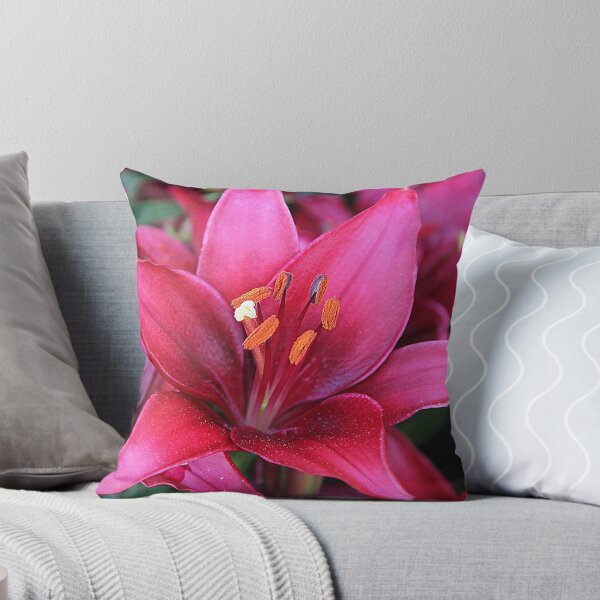 Item preview, spicy daylily.. designed and sold by FotoBloke.