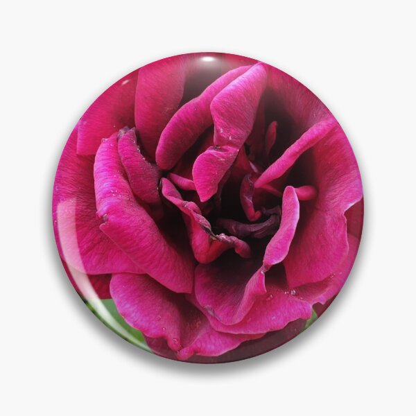 Item preview, Rose Beauty- 5th Edition designed and sold by Megan-Alice.
