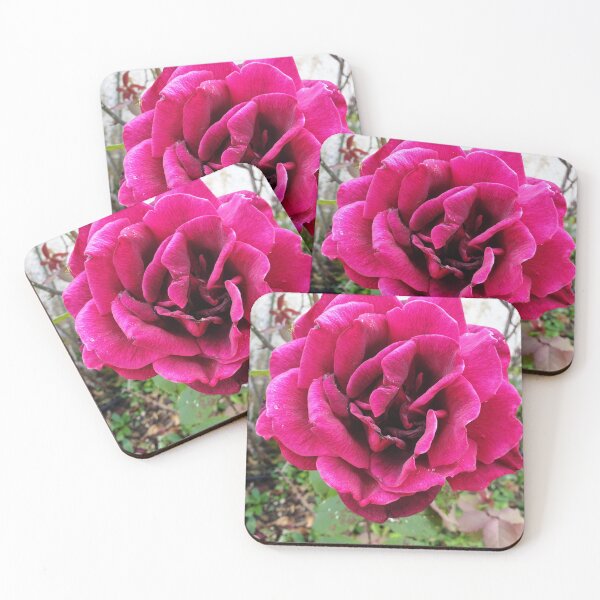 Item preview, Rose Beauty- 5th Edition designed and sold by Megan-Alice.