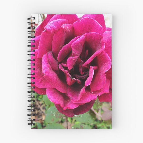 Item preview, Rose Beauty- 5th Edition designed and sold by Megan-Alice.