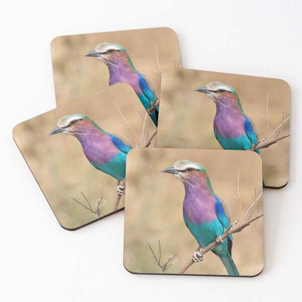Item preview, Lilac-breasted roller designed and sold by chrisandcami.