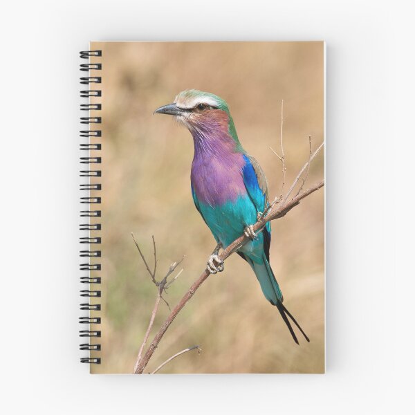 Item preview, Lilac-breasted roller designed and sold by chrisandcami.